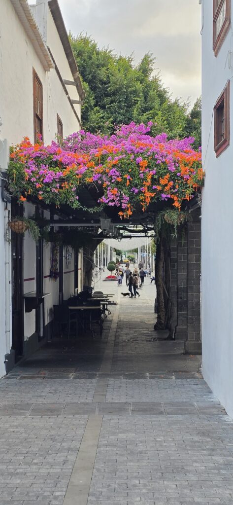 dekorative Blumenüberwucherung einer Pergola