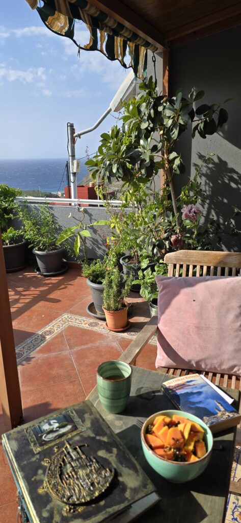 Mein Wohlfühlplatz zwischen vielen Pflanzen auf der Terrasse mit dem Drachenbuch, dem Tazacorte-Buch und Papayaschnipseln