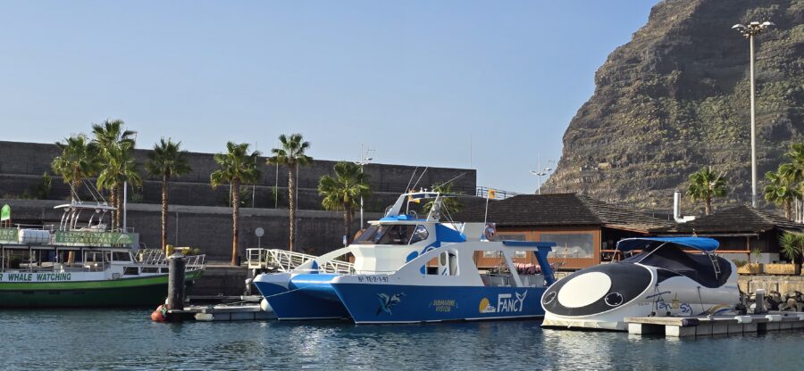 Ausflugsboote im Hafen von Tazacorte, La Palma